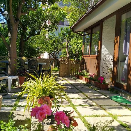 Villino L'Aranceto Sorrentino Bed & Breakfast Meta Dış mekan fotoğraf