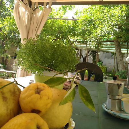 Villino L'Aranceto Sorrentino Bed & Breakfast Meta Dış mekan fotoğraf