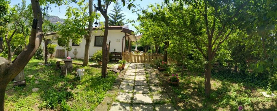 Villino L'Aranceto Sorrentino Bed & Breakfast Meta Dış mekan fotoğraf