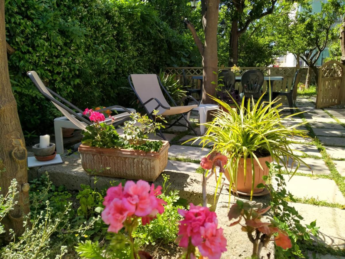 Villino L'Aranceto Sorrentino Bed & Breakfast Meta Dış mekan fotoğraf
