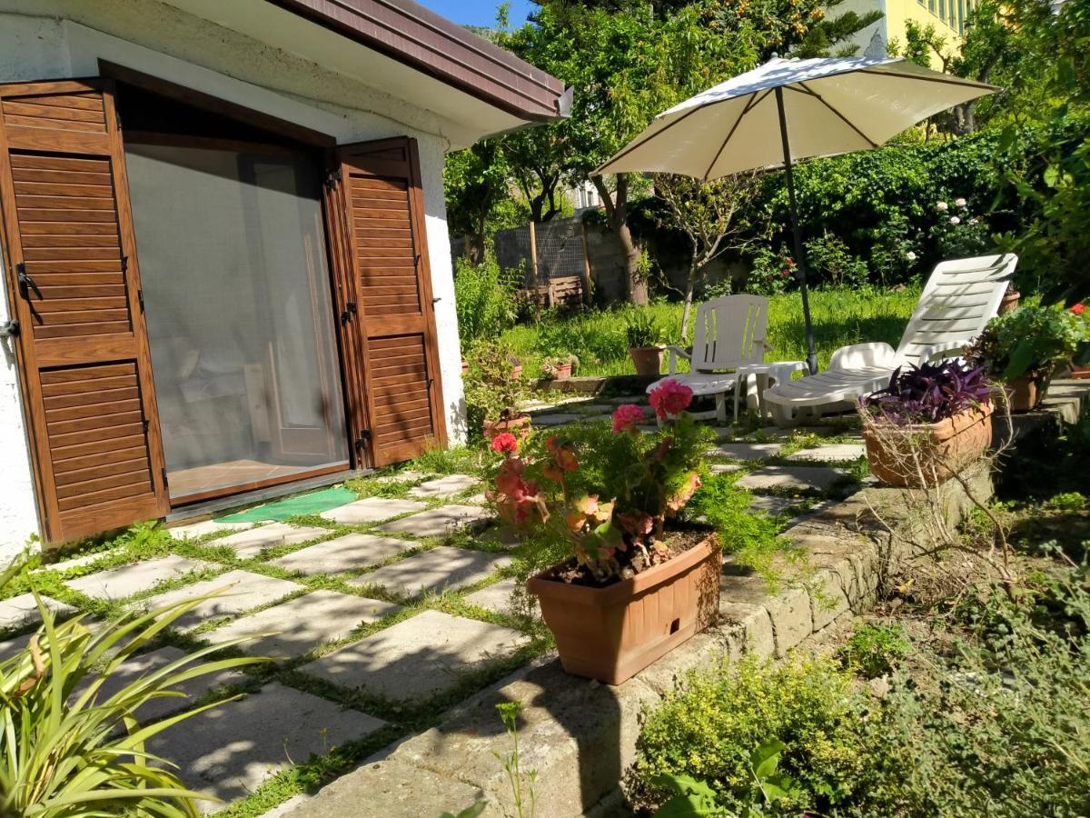 Villino L'Aranceto Sorrentino Bed & Breakfast Meta Dış mekan fotoğraf