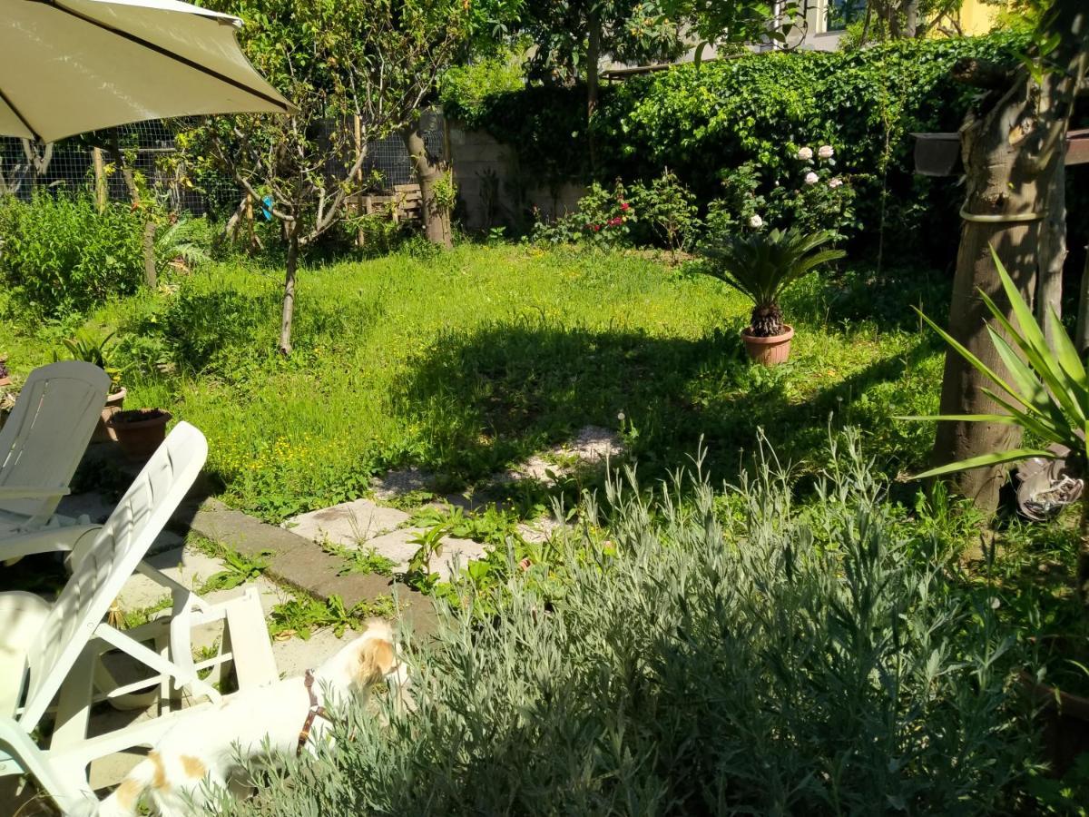 Villino L'Aranceto Sorrentino Bed & Breakfast Meta Dış mekan fotoğraf