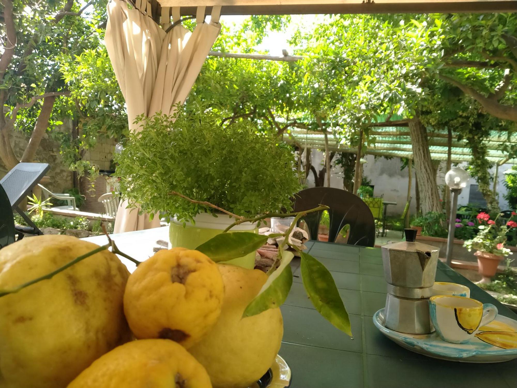 Villino L'Aranceto Sorrentino Bed & Breakfast Meta Dış mekan fotoğraf