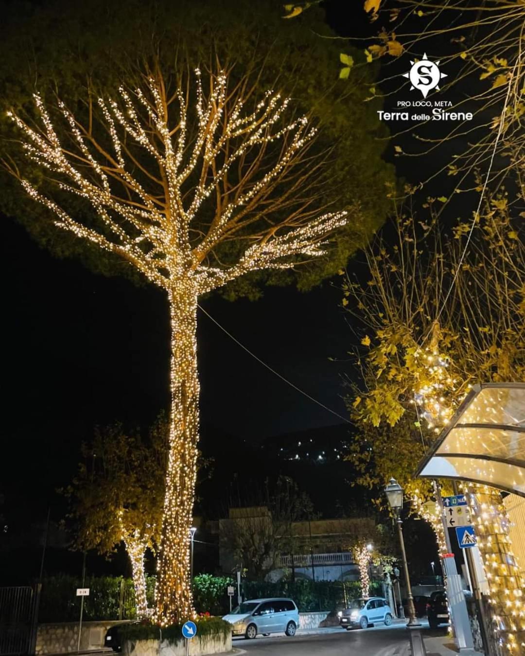 Villino L'Aranceto Sorrentino Bed & Breakfast Meta Dış mekan fotoğraf