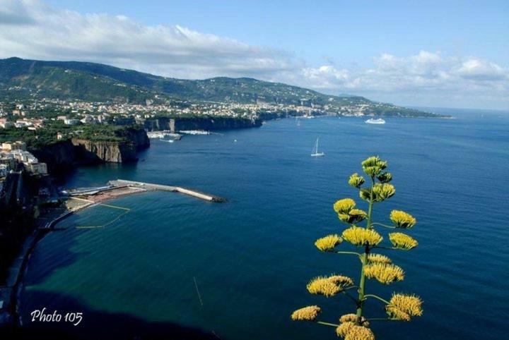 Villino L'Aranceto Sorrentino Bed & Breakfast Meta Dış mekan fotoğraf