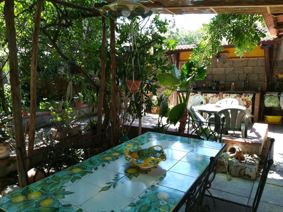 Villino L'Aranceto Sorrentino Bed & Breakfast Meta Dış mekan fotoğraf