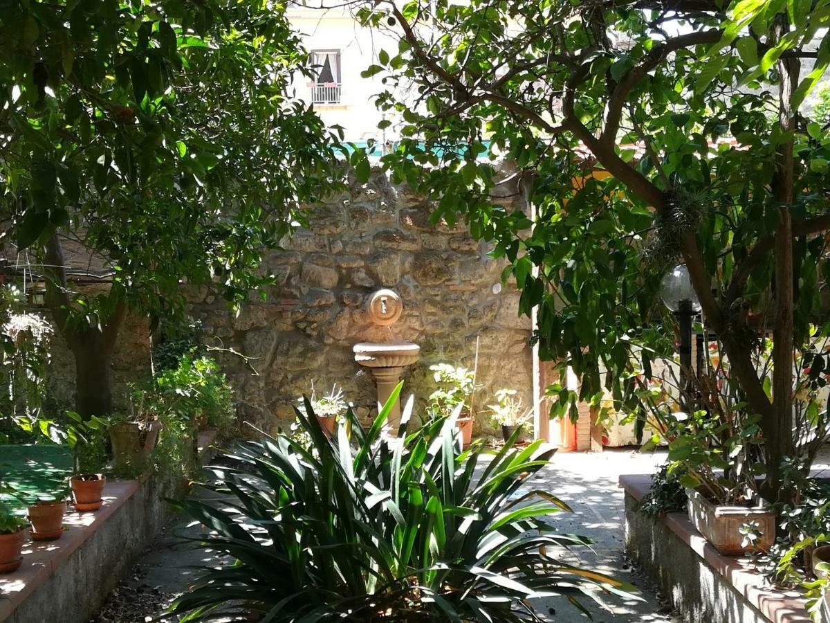 Villino L'Aranceto Sorrentino Bed & Breakfast Meta Dış mekan fotoğraf
