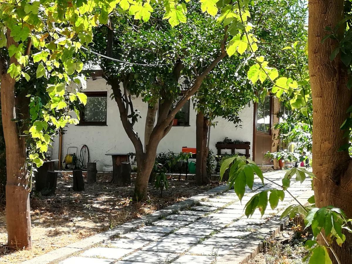 Villino L'Aranceto Sorrentino Bed & Breakfast Meta Dış mekan fotoğraf