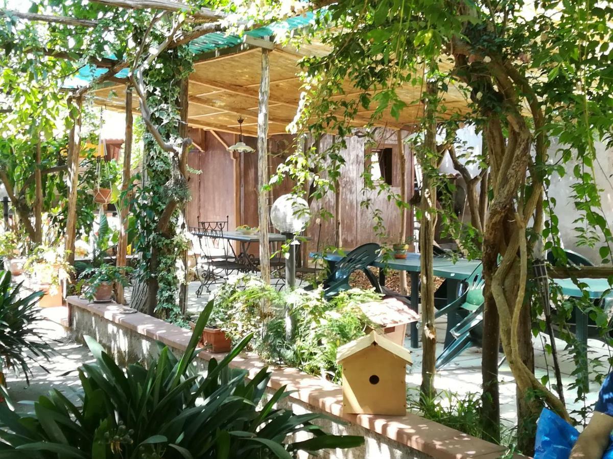 Villino L'Aranceto Sorrentino Bed & Breakfast Meta Dış mekan fotoğraf