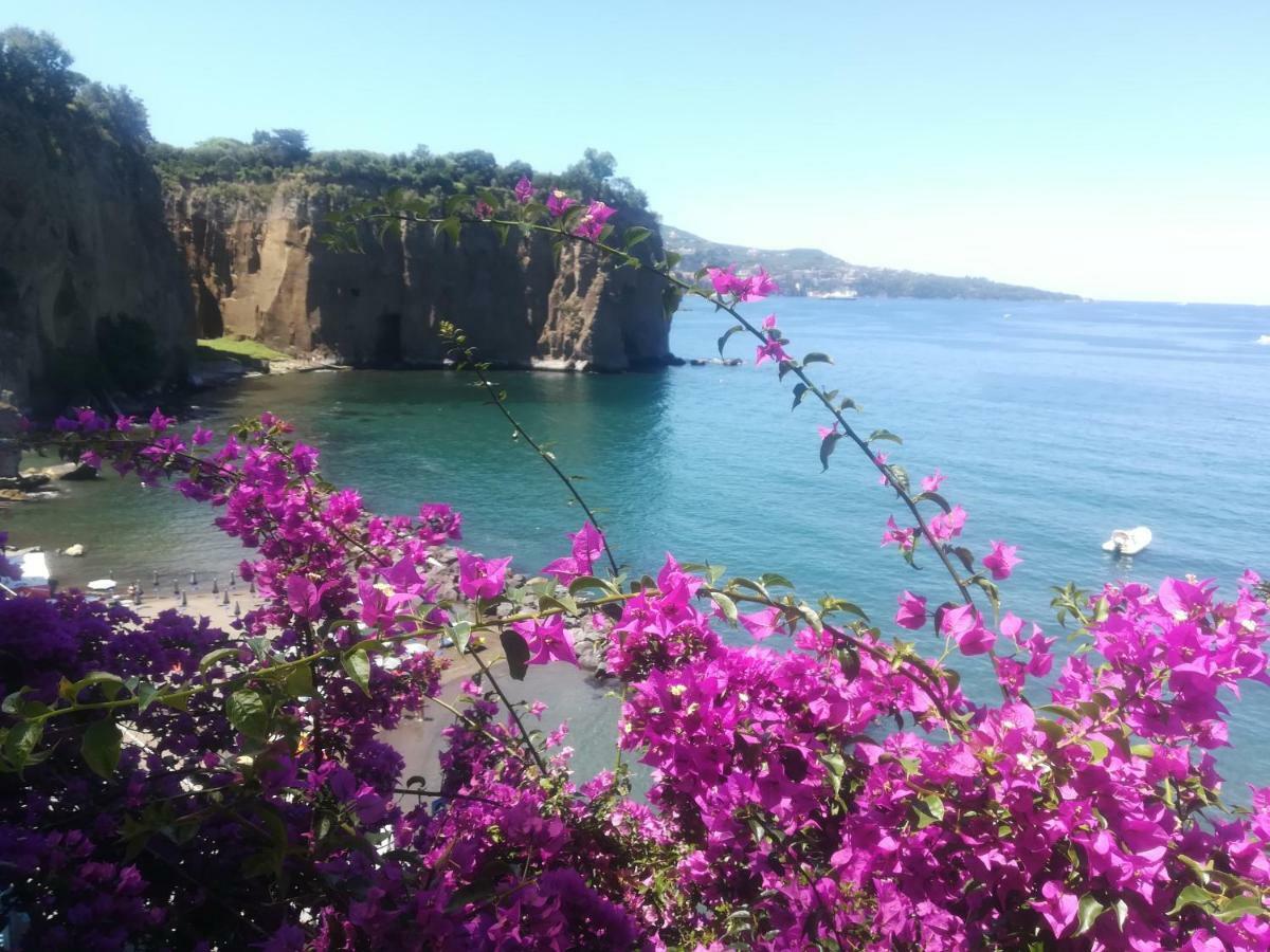 Villino L'Aranceto Sorrentino Bed & Breakfast Meta Dış mekan fotoğraf