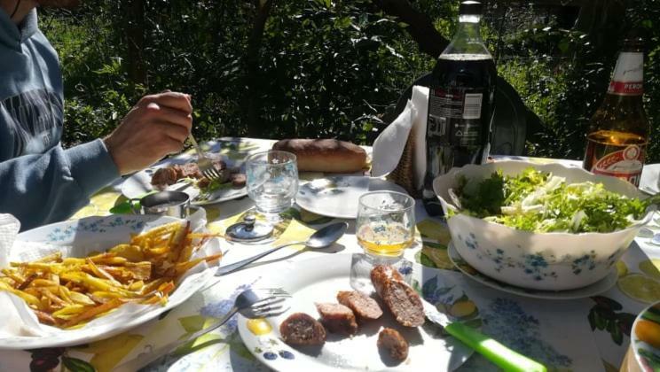 Villino L'Aranceto Sorrentino Bed & Breakfast Meta Dış mekan fotoğraf