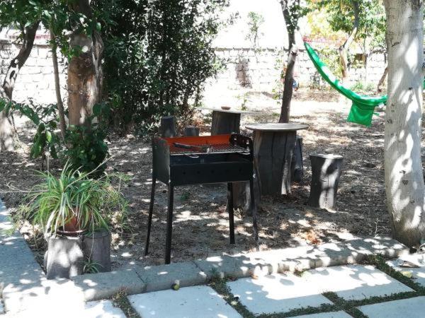 Villino L'Aranceto Sorrentino Bed & Breakfast Meta Dış mekan fotoğraf